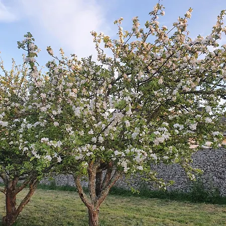 La Pommeraie Gouville-sur-Mer